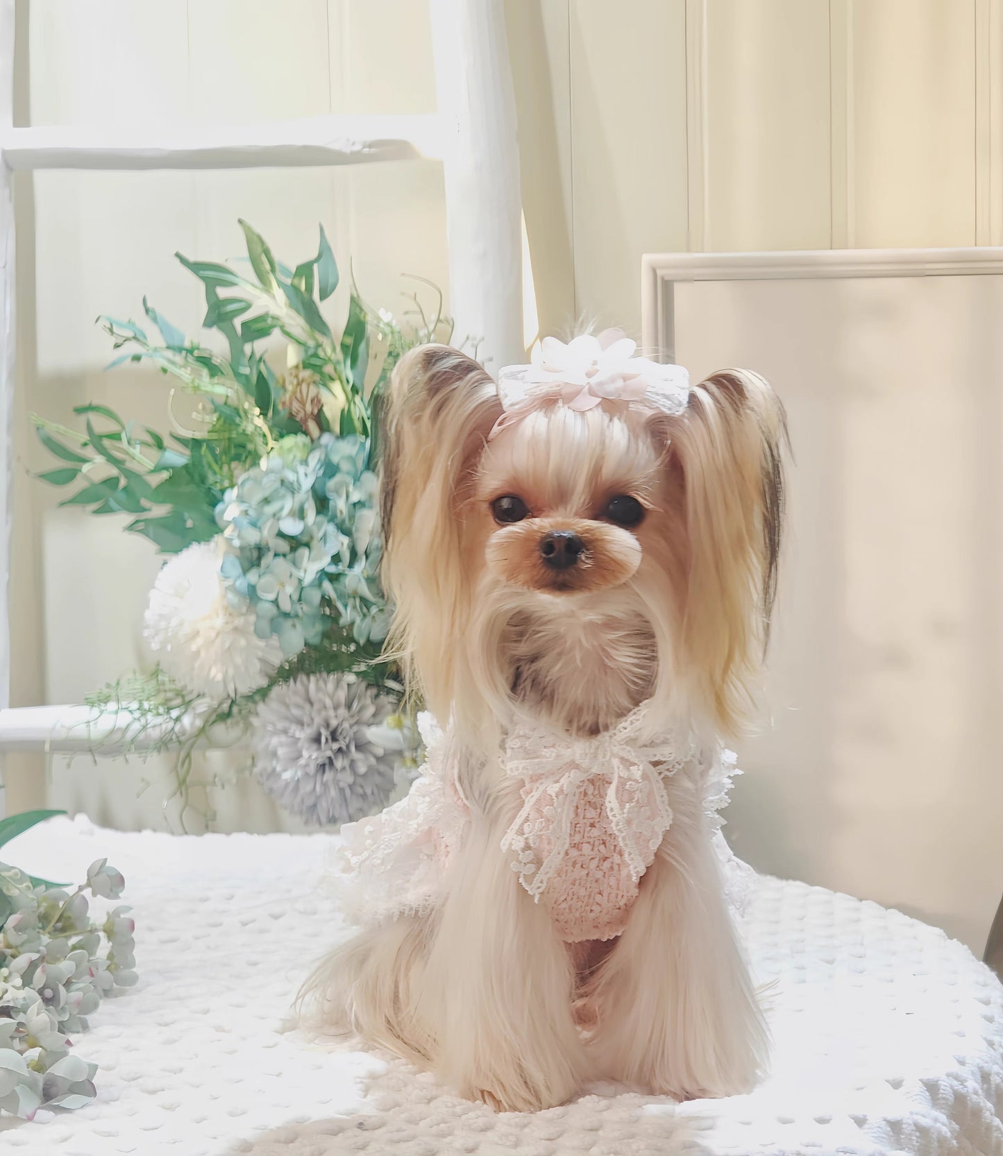 Summer | Lace Princess Style Pet Tutu Dress - Customizable