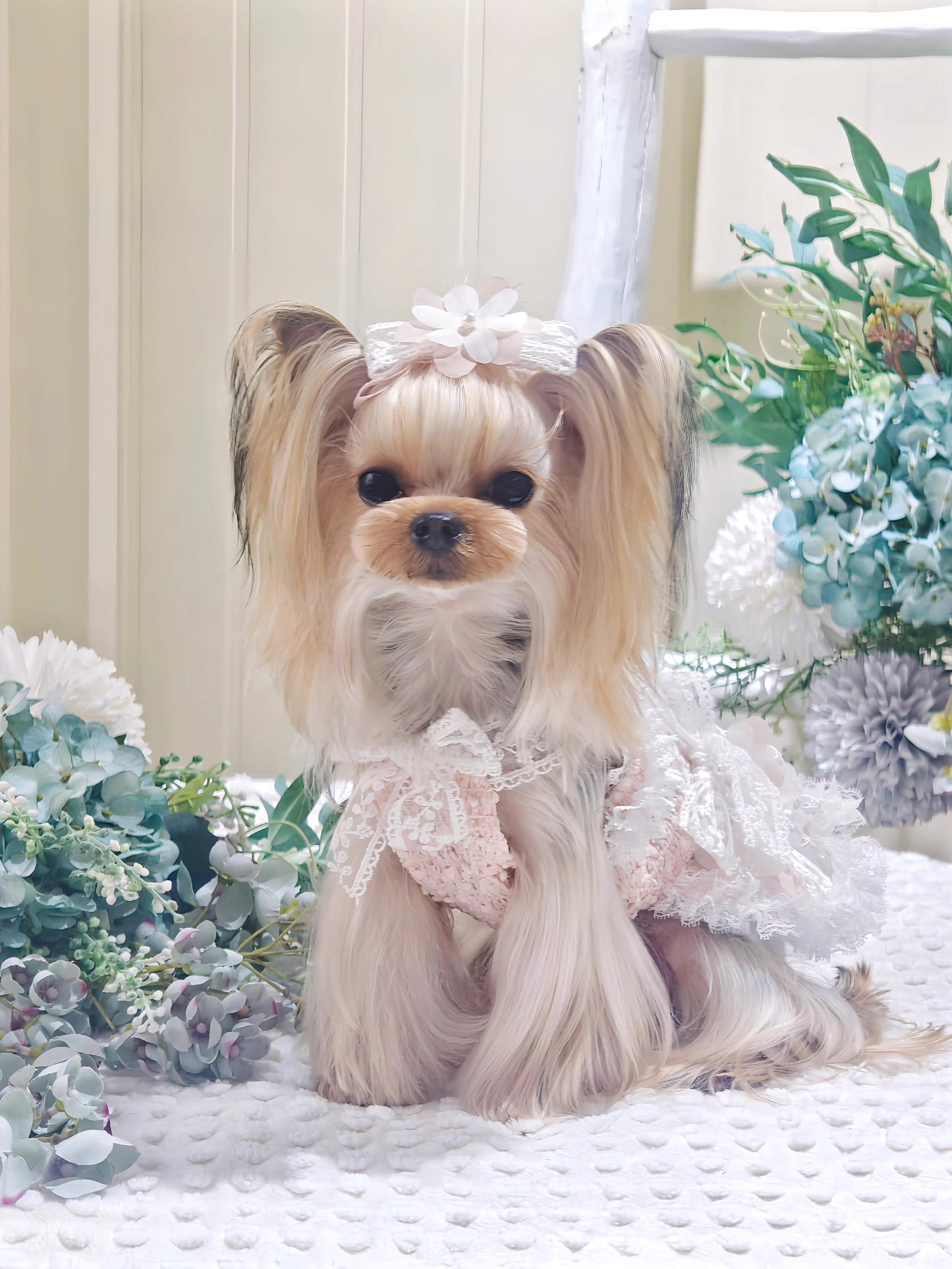Summer | Lace Princess Style Pet Tutu Dress - Customizable