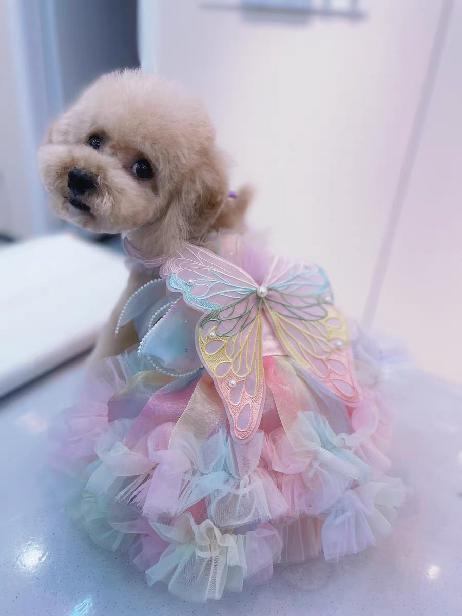 Rainbow Fairy Fantasy Rainbow Butterfly Wings Spring Summer Cat Teddy Pet Dress