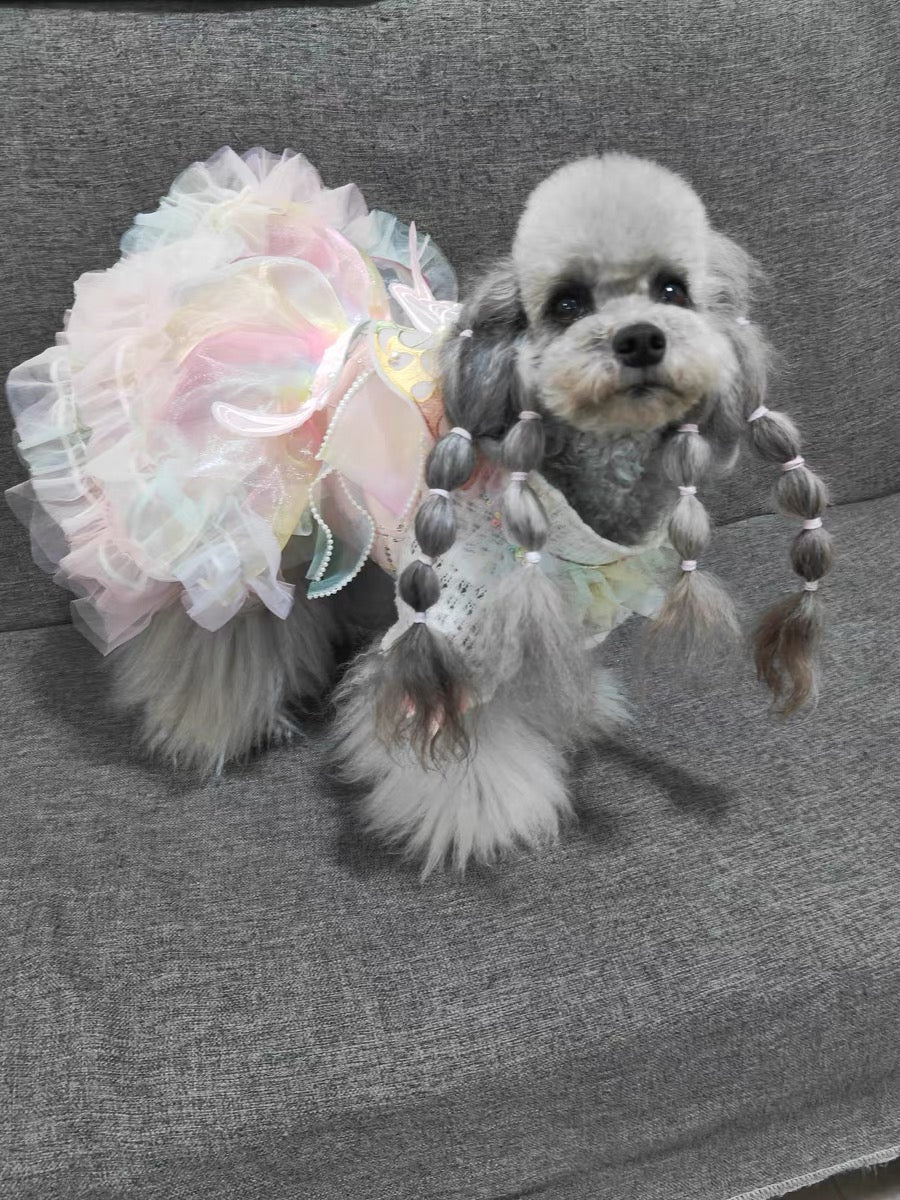 Rainbow Fairy Fantasy Rainbow Butterfly Wings Spring Summer Cat Teddy Pet Dress