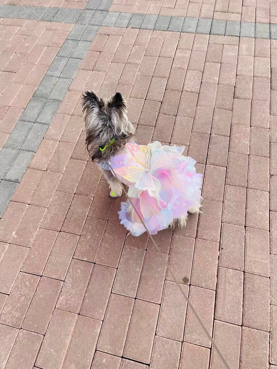 Rainbow Fairy Fantasy Rainbow Butterfly Wings Spring Summer Cat Teddy Pet Dress