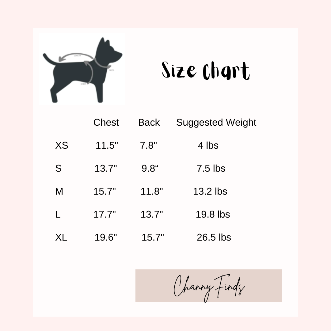 Rainbow Fairy Fantasy Rainbow Butterfly Wings Spring Summer Cat Teddy Pet Dress