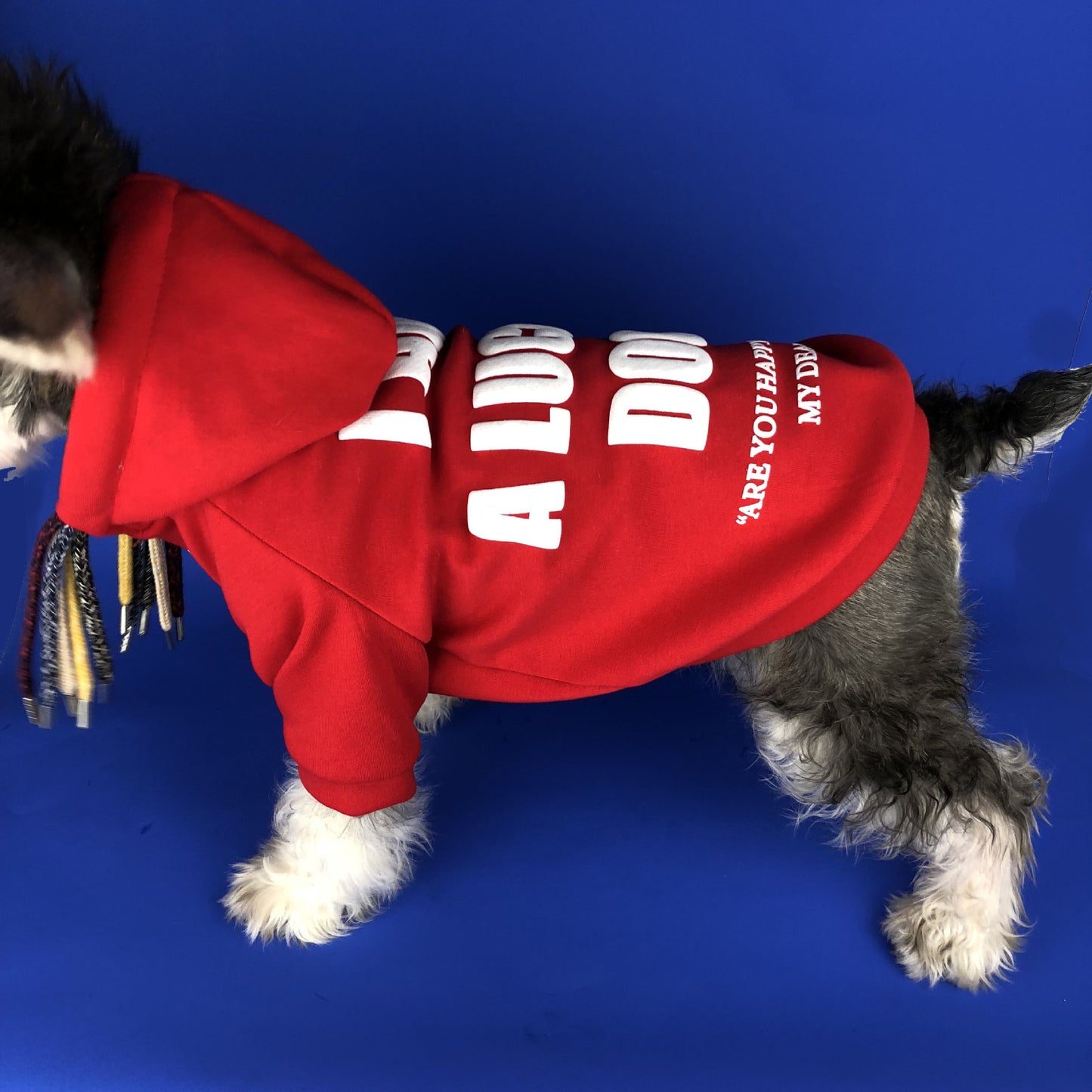 Slogan Lucky Dog Fashion Hoodie