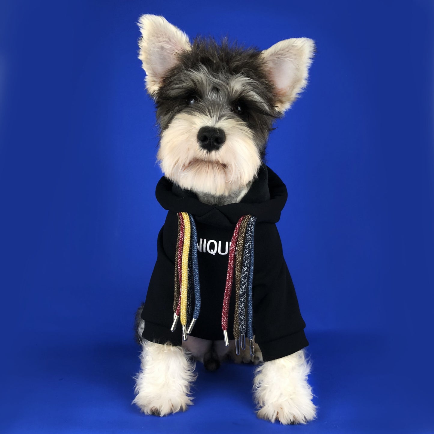 Slogan Lucky Dog Fashion Hoodie