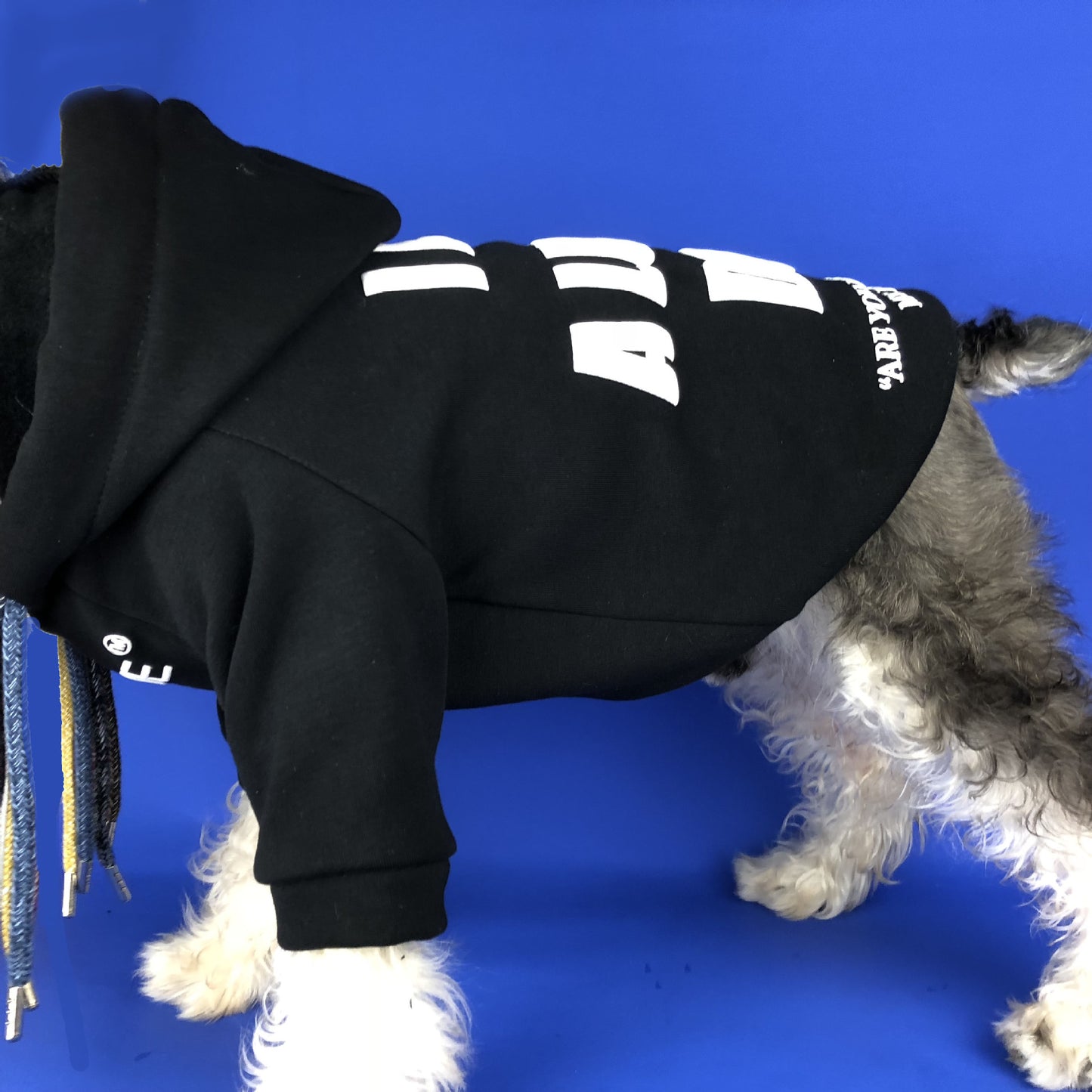 Slogan Lucky Dog Fashion Hoodie