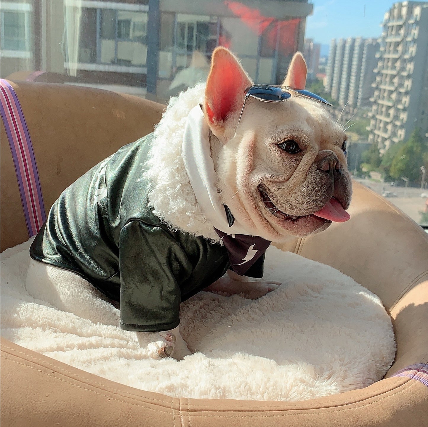 Leather Jacket with Fur Hood