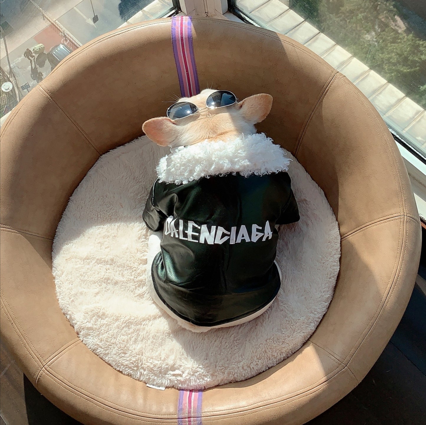 Leather Jacket with Fur Hood