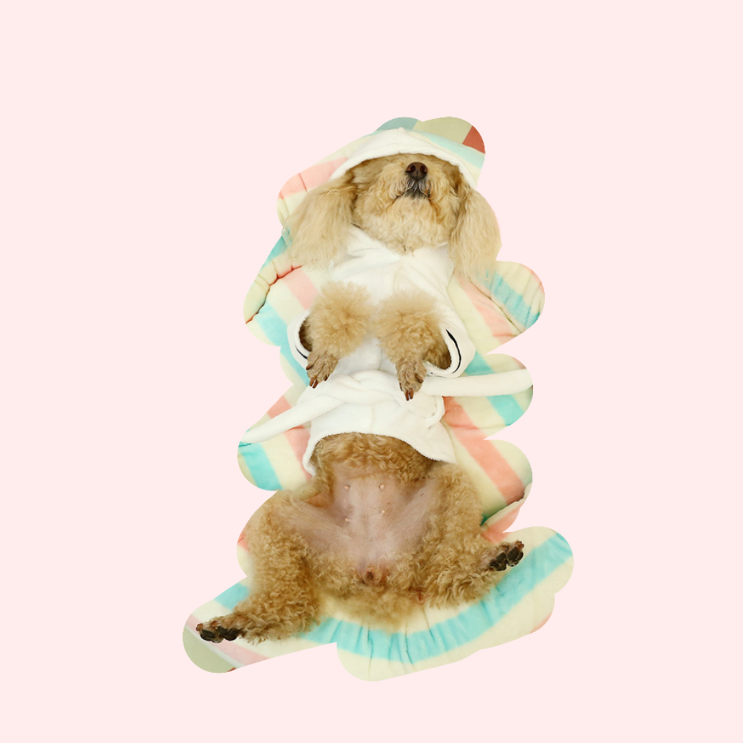 Funny Pet Robe | For Frenchie, Bulldog and Pug | The Dog Loves Sleep