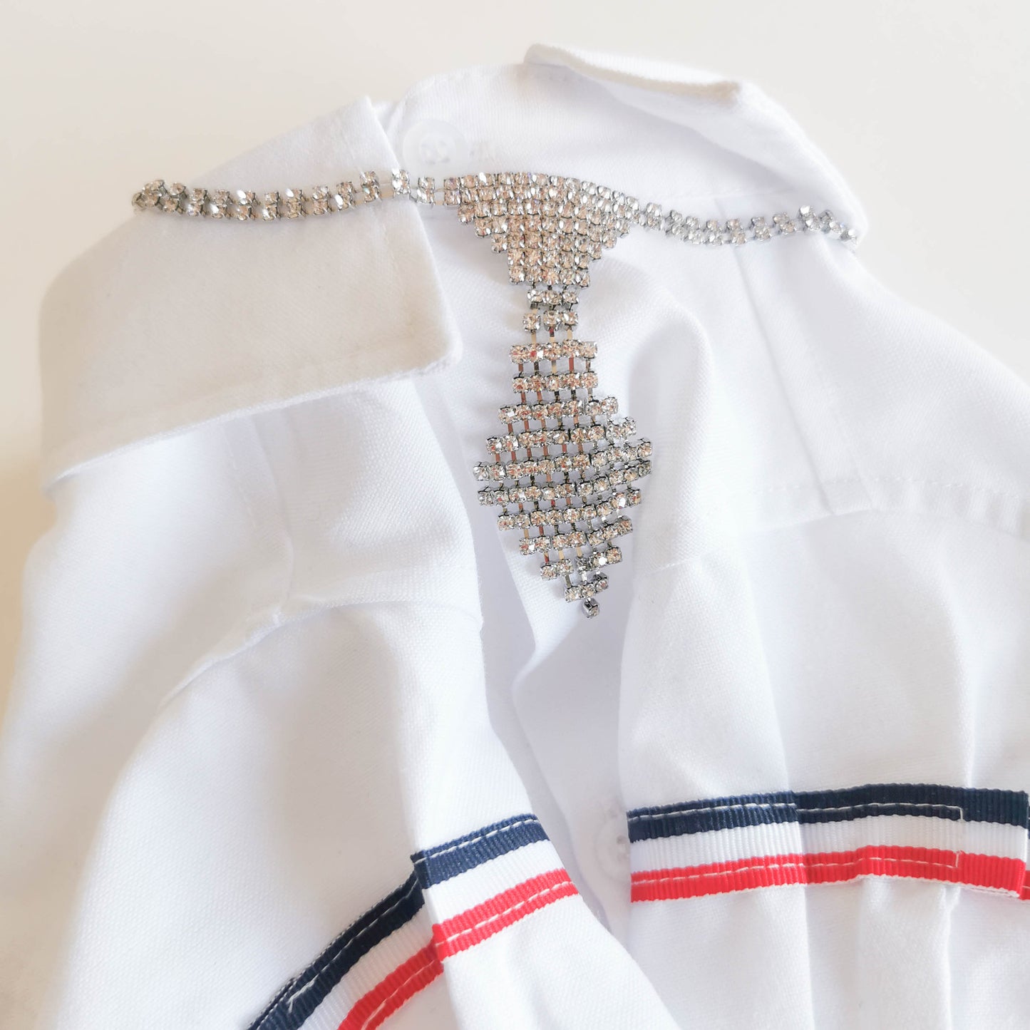 Elegant Rhinestone Pet Necklace & Tie | For Cats and Dogs