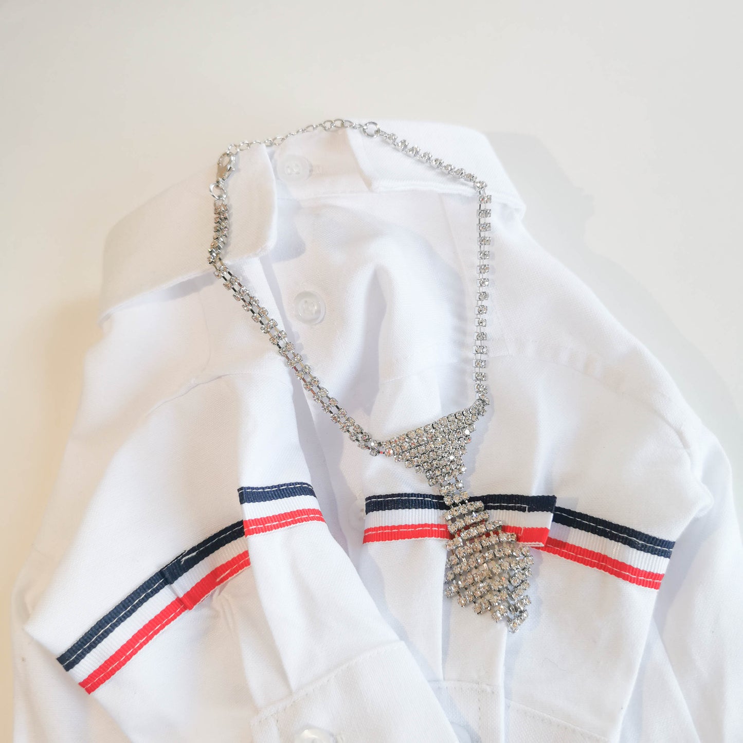 Elegant Rhinestone Pet Necklace & Tie | For Cats and Dogs