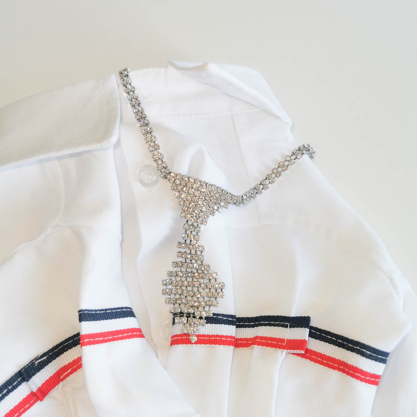 Elegant Rhinestone Pet Necklace & Tie | For Cats and Dogs