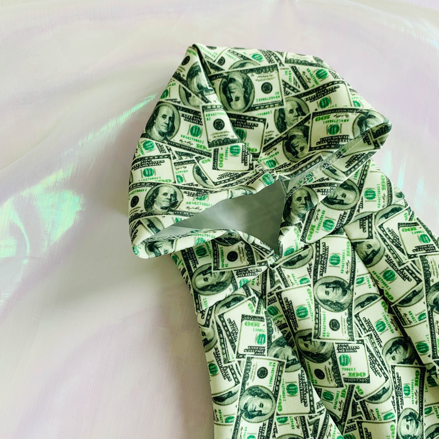 Fashion Pet Your Rich Dog Hoodie & Vest