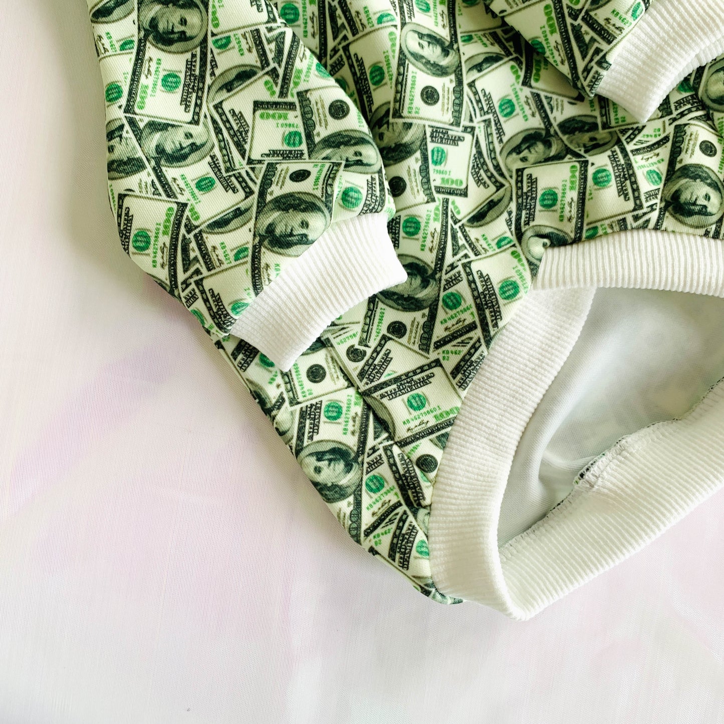 Fashion Pet Your Rich Dog Hoodie & Vest