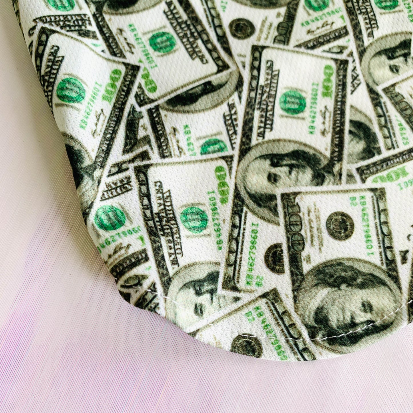 Fashion Pet Your Rich Dog Hoodie & Vest