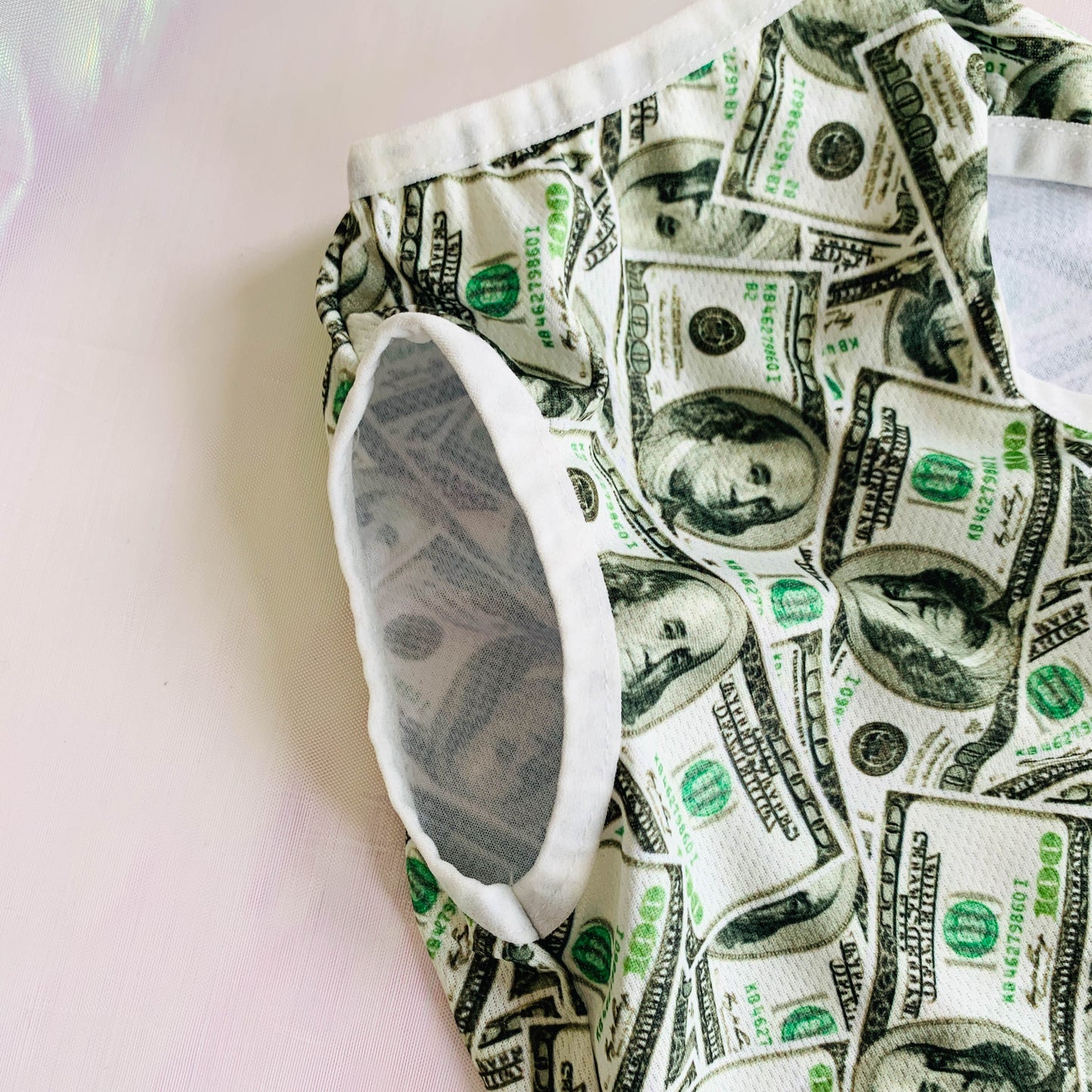 Fashion Pet Your Rich Dog Hoodie & Vest