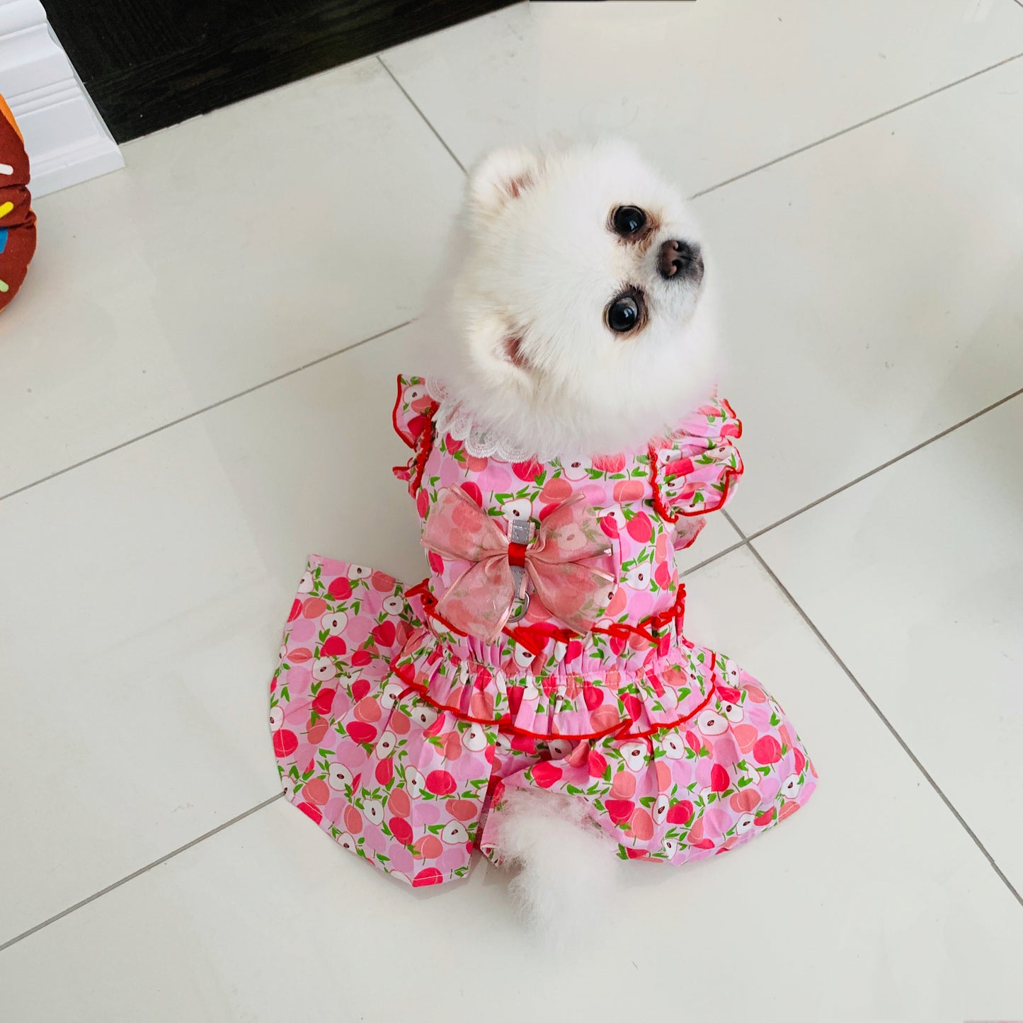 Passion Red Apple Pattern Harness Dress | For Elegant Dogs and Cats