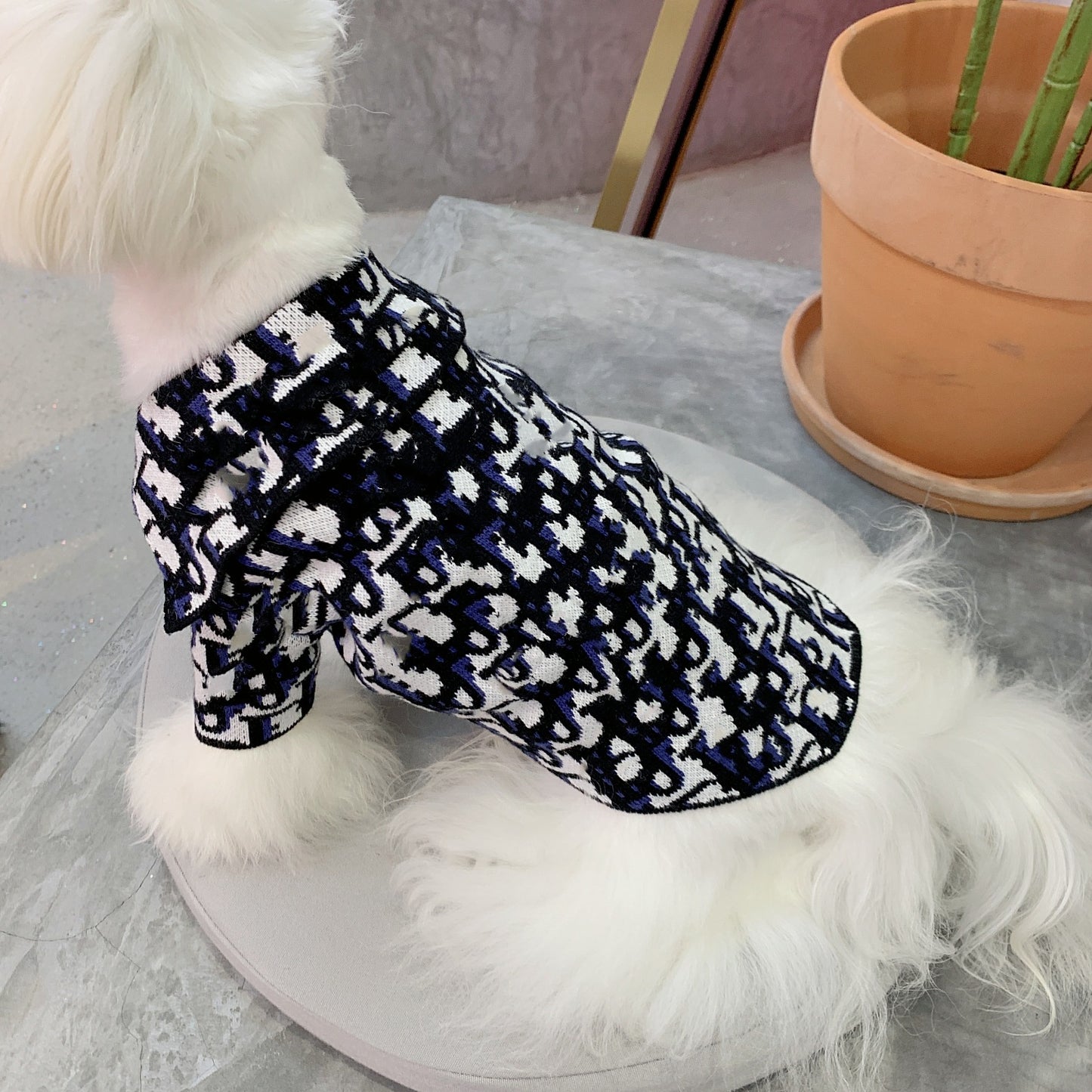 Bold Print Big Collar Sweater