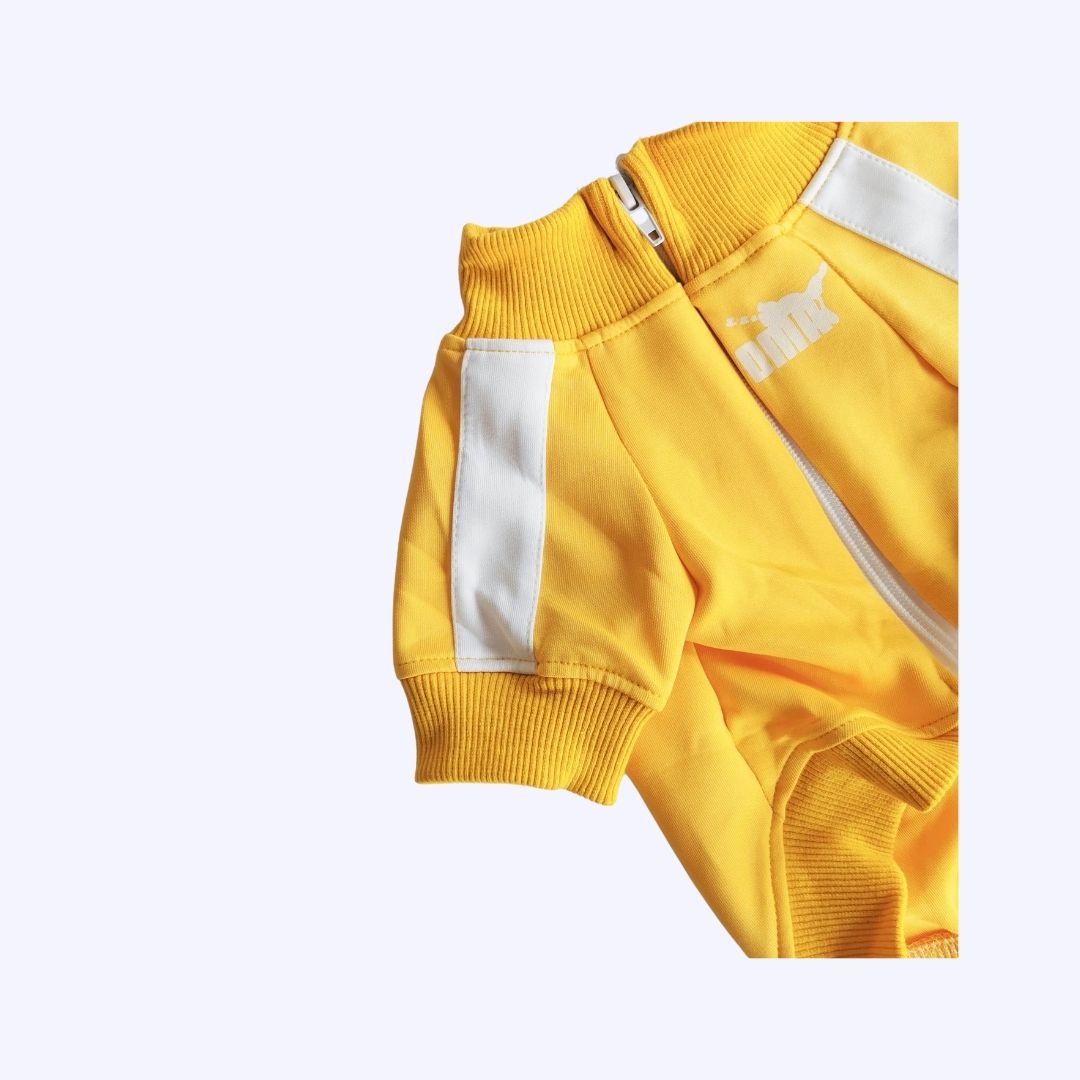 [Last Chance] Funny Pet | Classic Candy Color Tracksuit Pet Hoodie Top