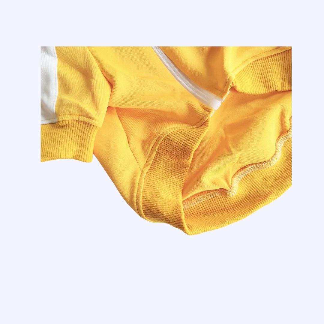 [Last Chance] Funny Pet | Classic Candy Color Tracksuit Pet Hoodie Top