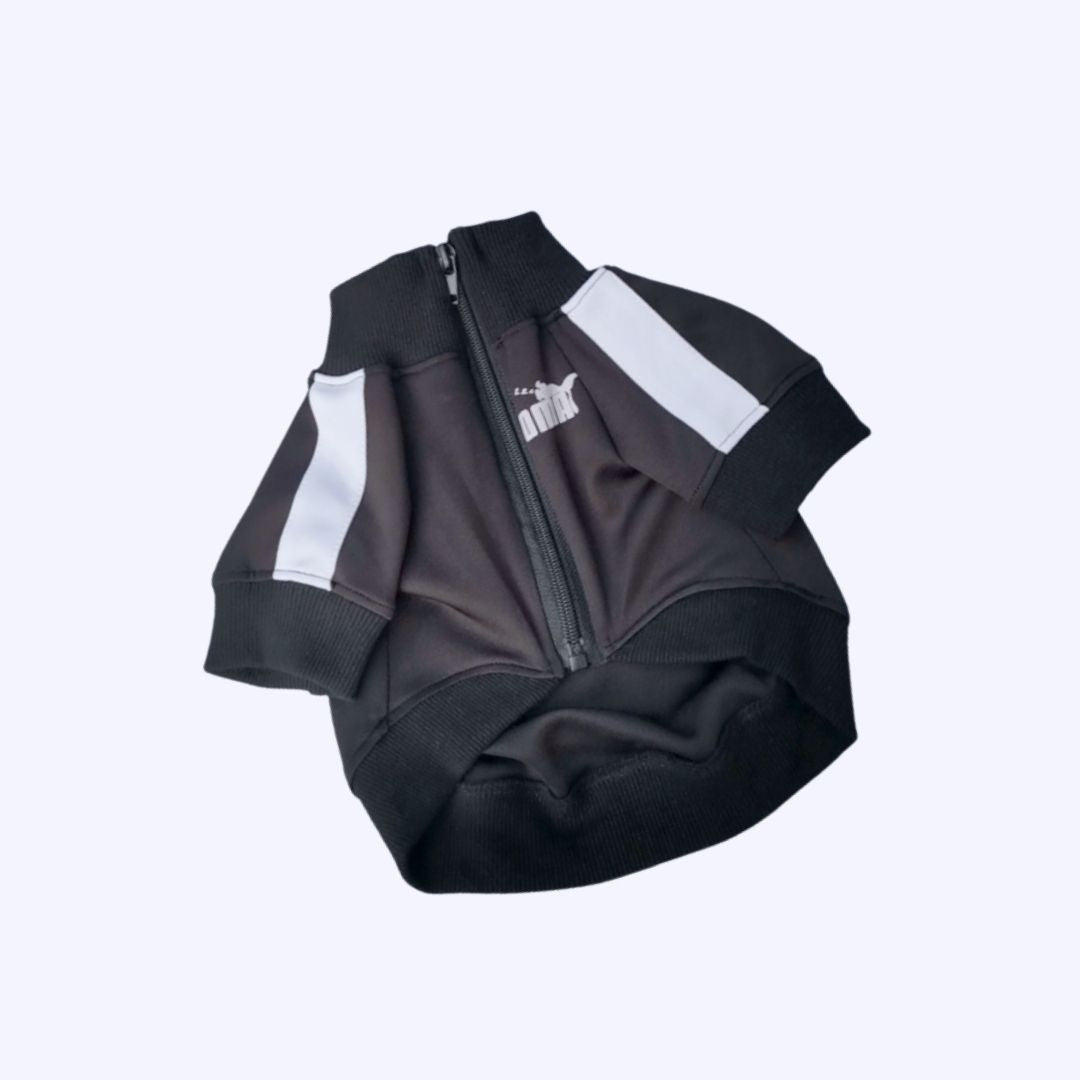 [Last Chance] Funny Pet | Classic Candy Color Tracksuit Pet Hoodie Top