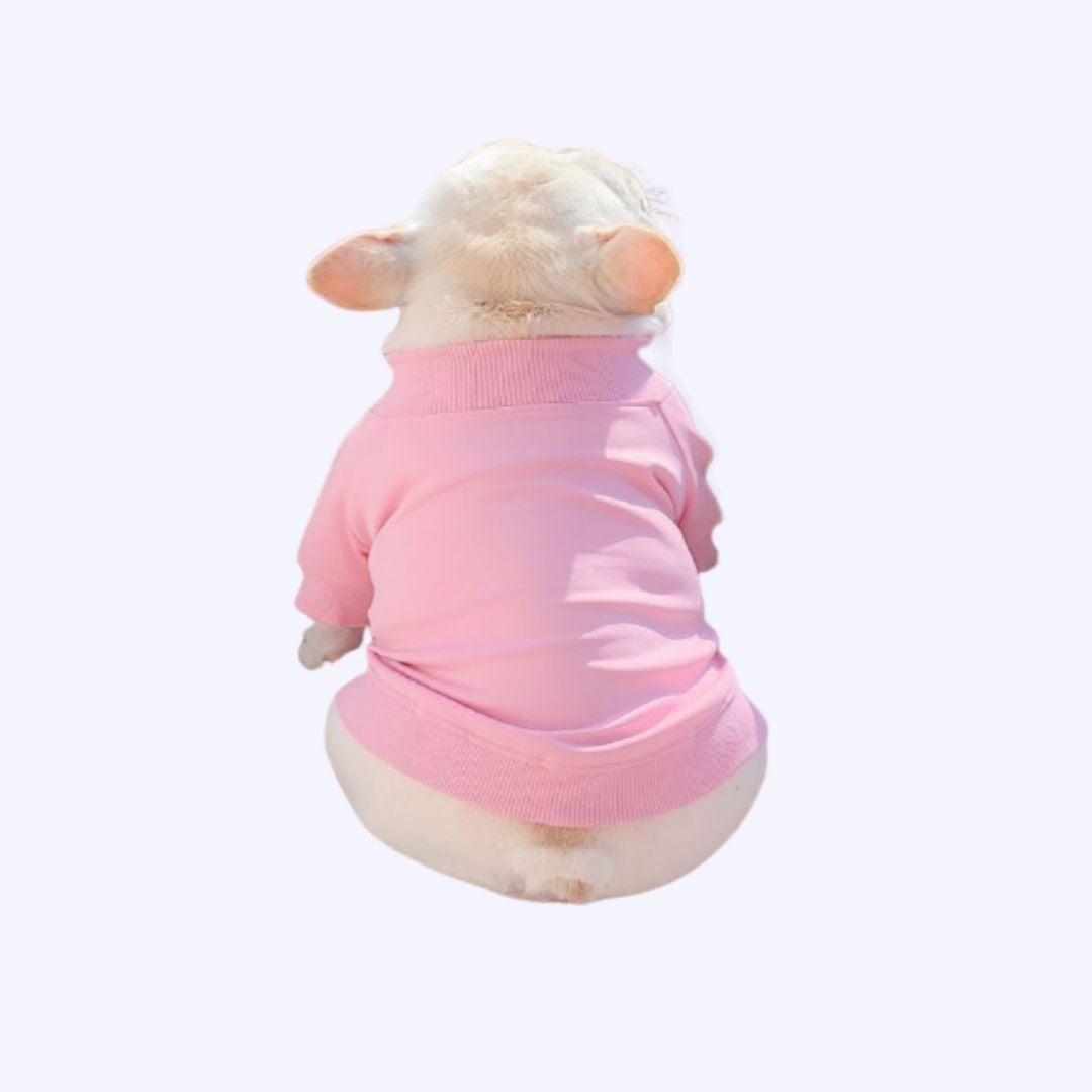 [Last Chance] Funny Pet | Classic Candy Color Tracksuit Pet Hoodie Top
