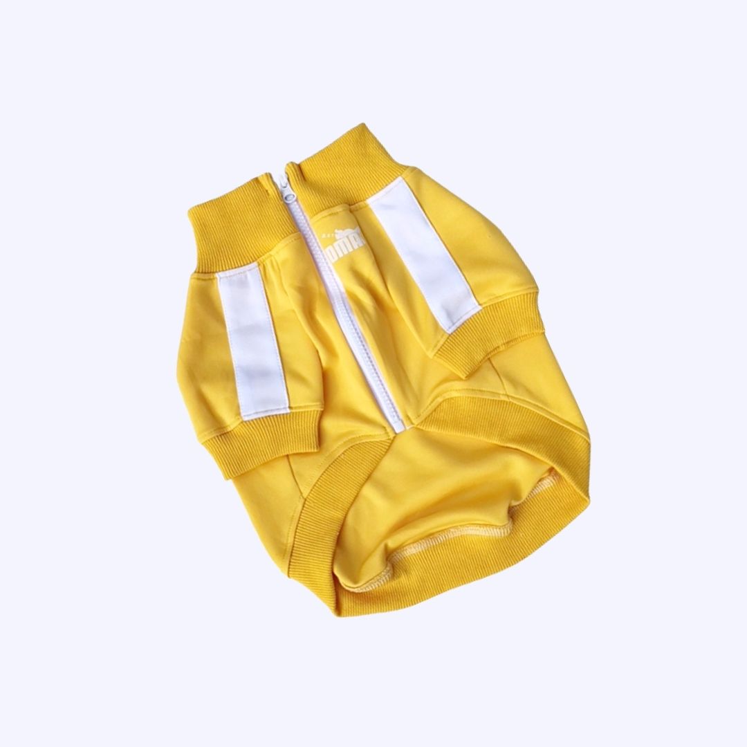 [Last Chance] Funny Pet | Classic Candy Color Tracksuit Pet Hoodie Top