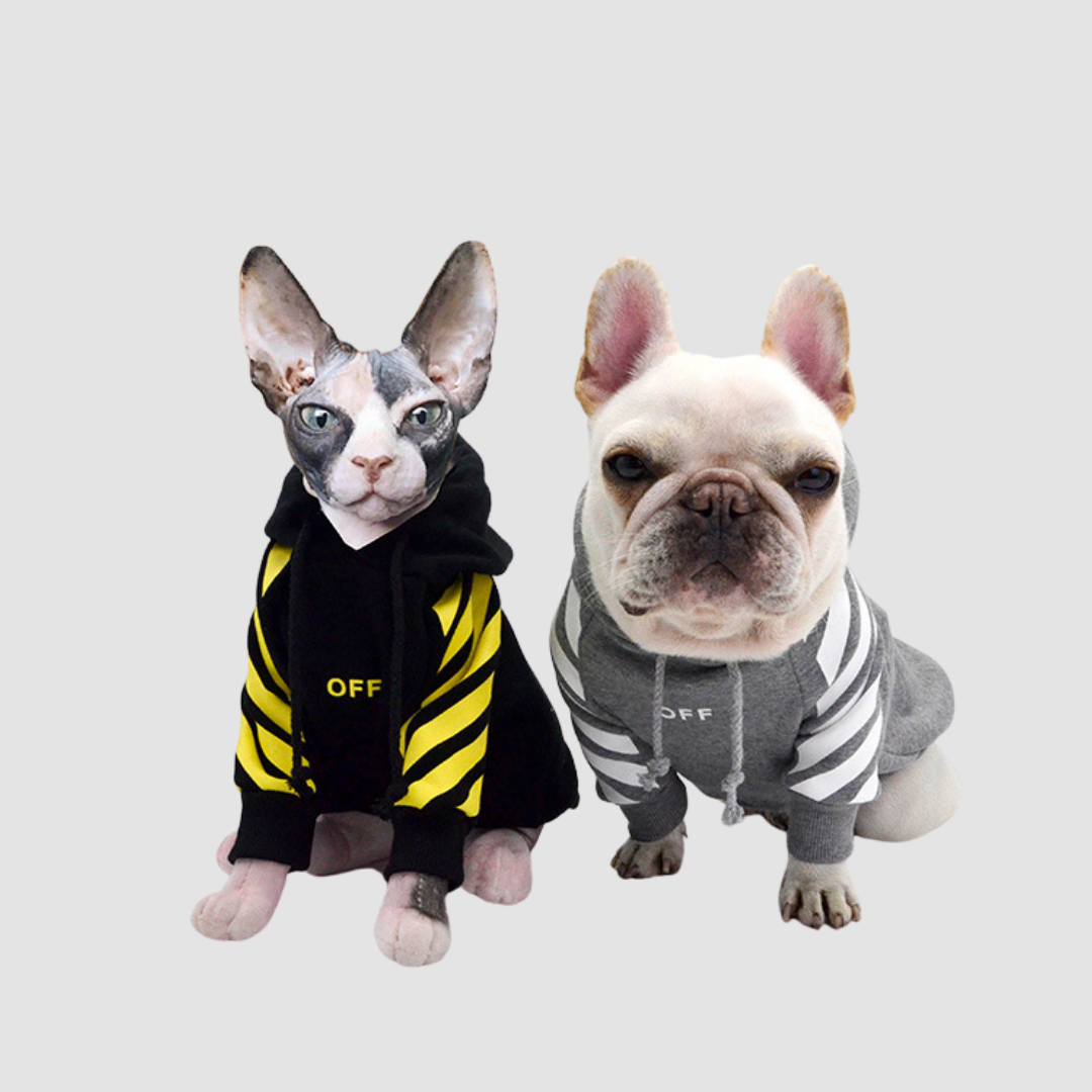 Fashion Pet Streetwear Style Hoodie | Lightly Lined Inner Layer