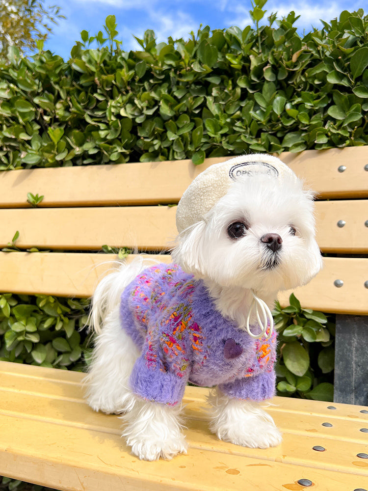 Rainbow Color Pet Cardigan