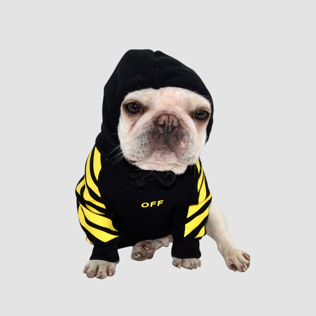 Fashion Pet Streetwear Style Hoodie | Lightly Lined Inner Layer