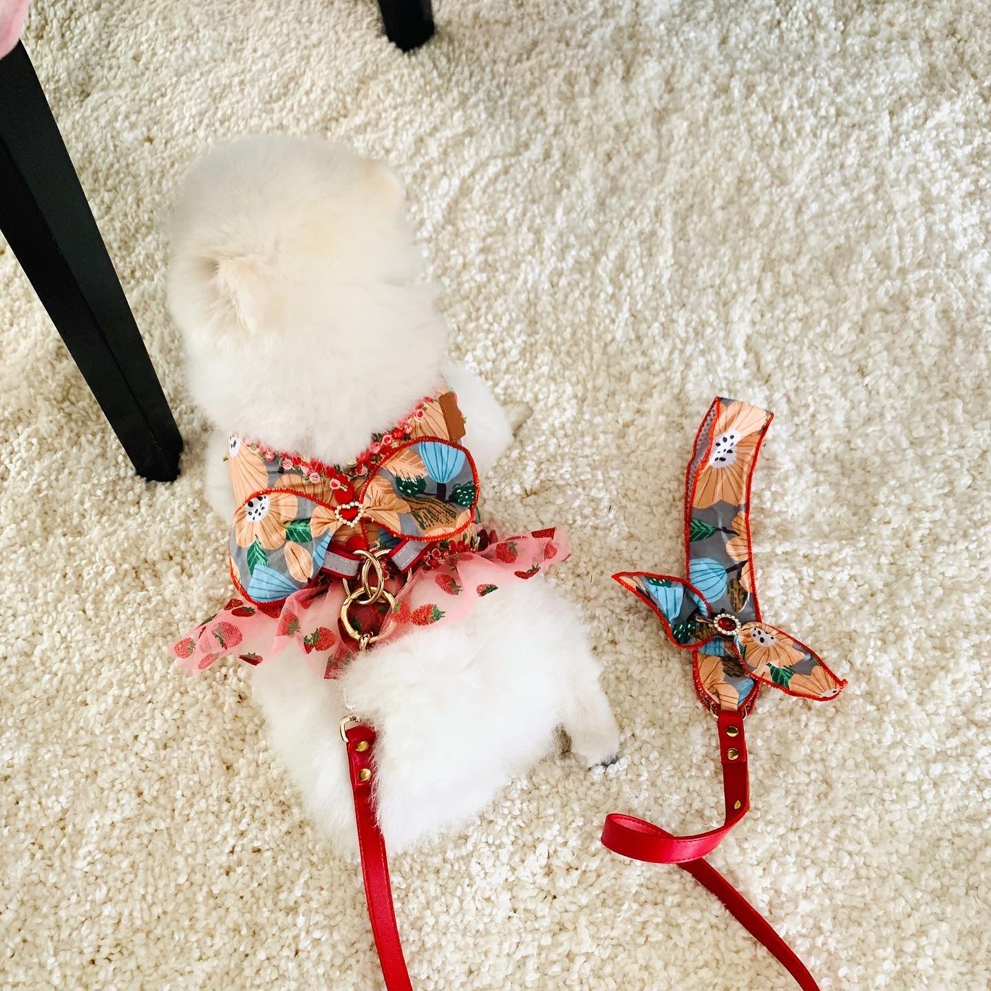 Strawberry Pom Fashion Harness Dress Set| For Elegant Puppy or Kitten