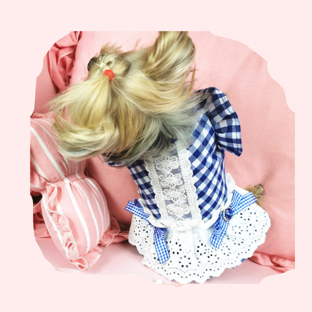 Fashion Harness Dress | For Elegant Puppy or Kitten