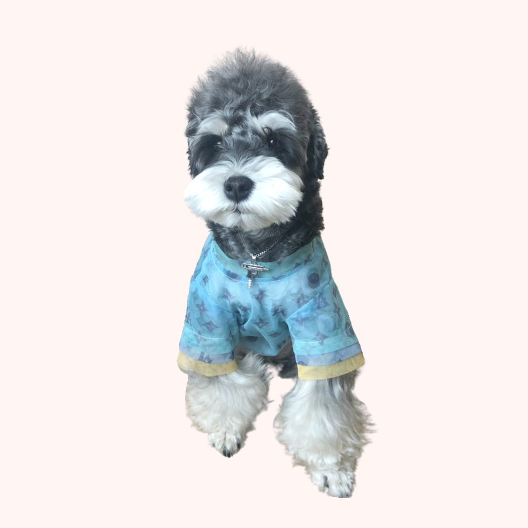 [Last Chance] Happy LA Smiley Face Summer Pet Mesh Top