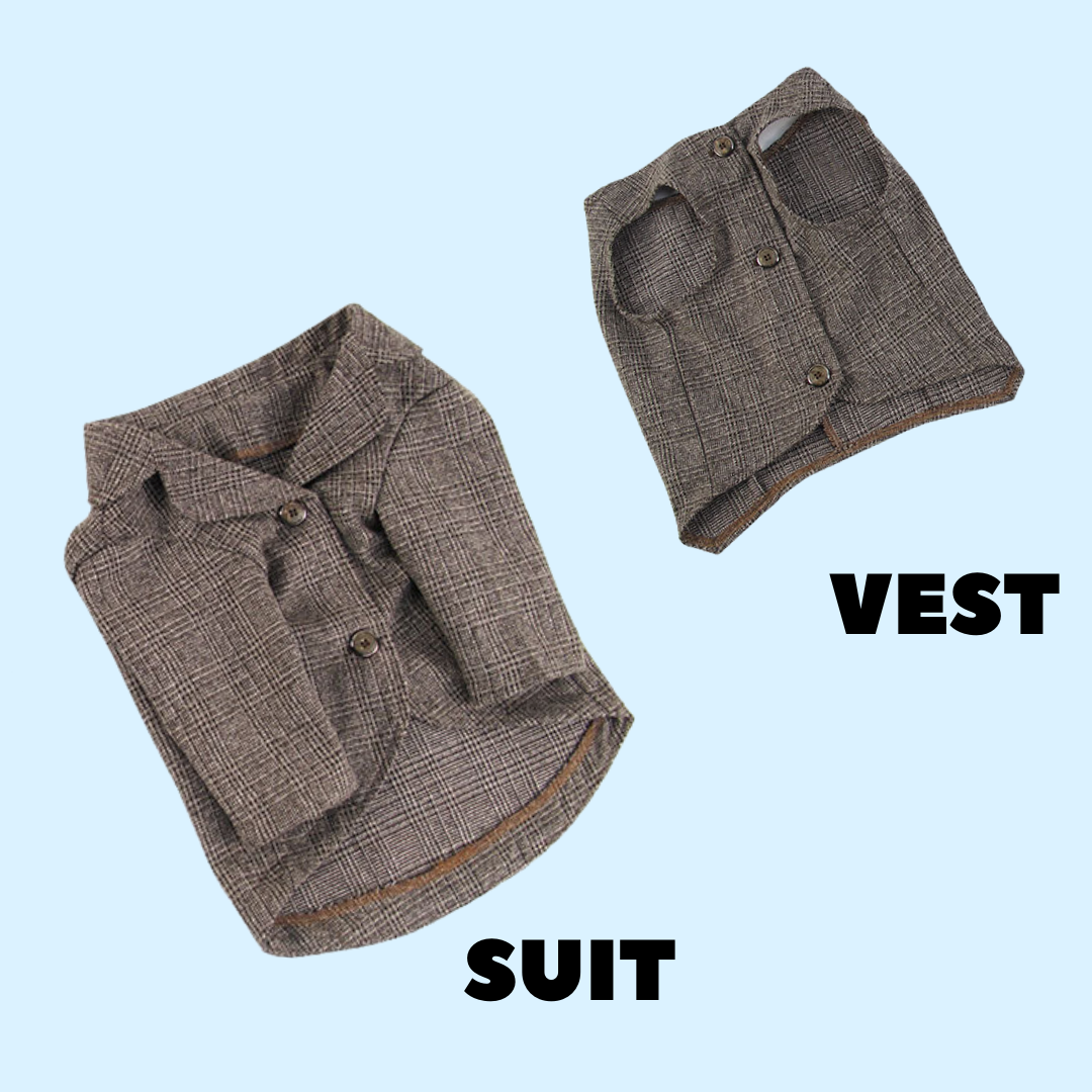 In Stock | Pet Summer Wedding 2-piece Suit Set | Handsome & Formal | For Cats and Dogs
