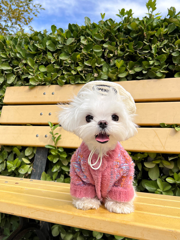 Rainbow Color Pet Cardigan