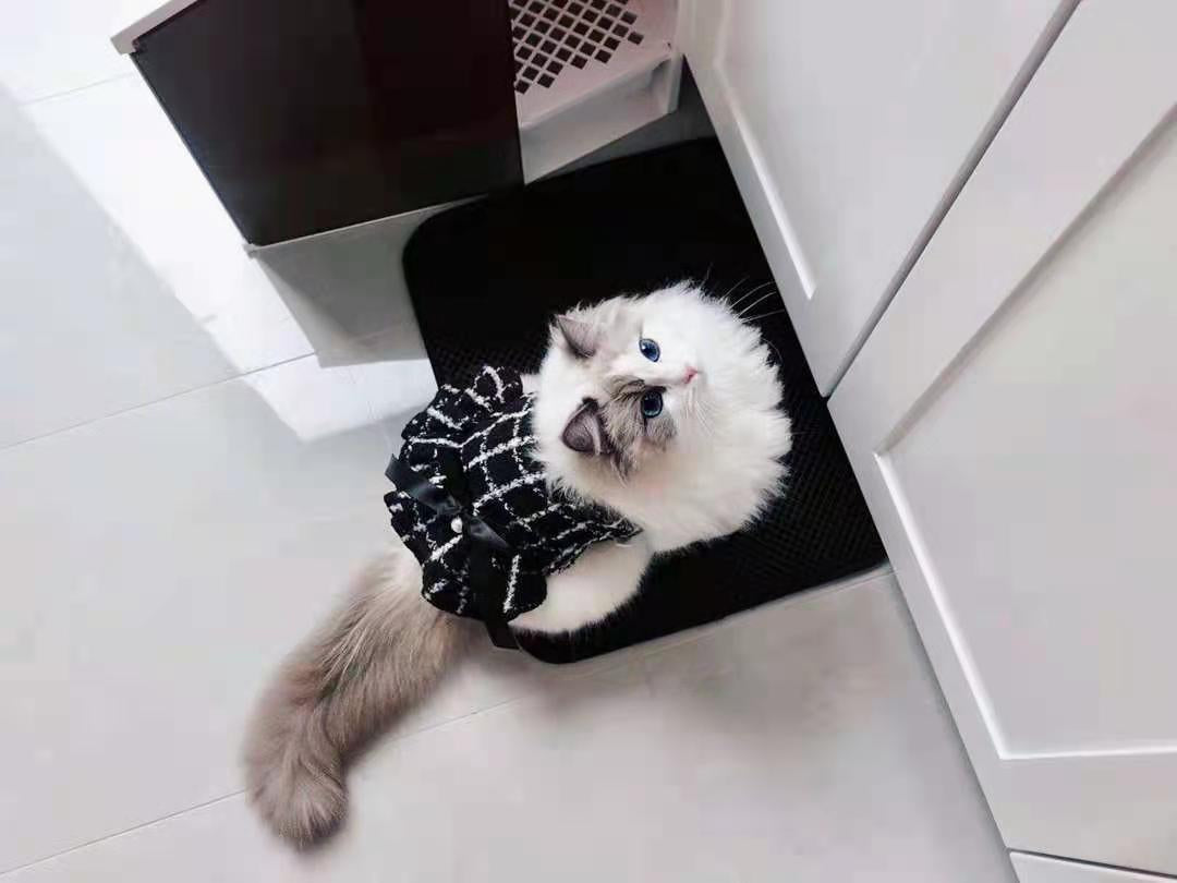 Coco Tweed Style Monochrome Pet Dress | Winter Version Available