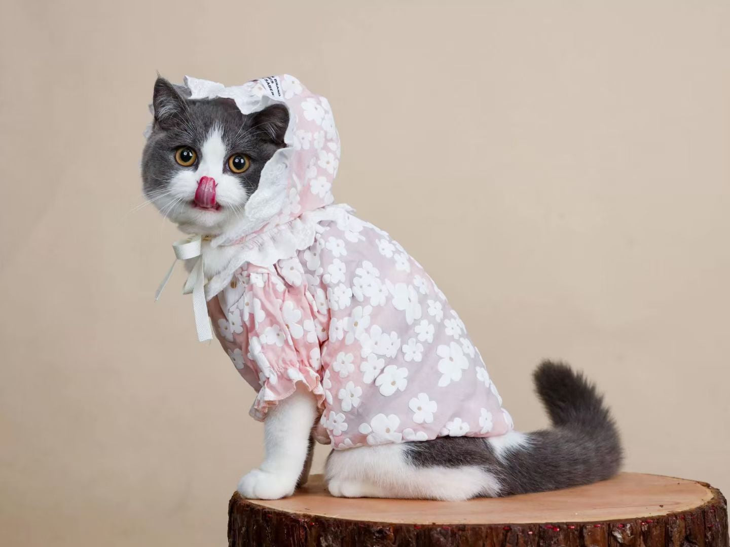 Summer Floral Pet Dress
