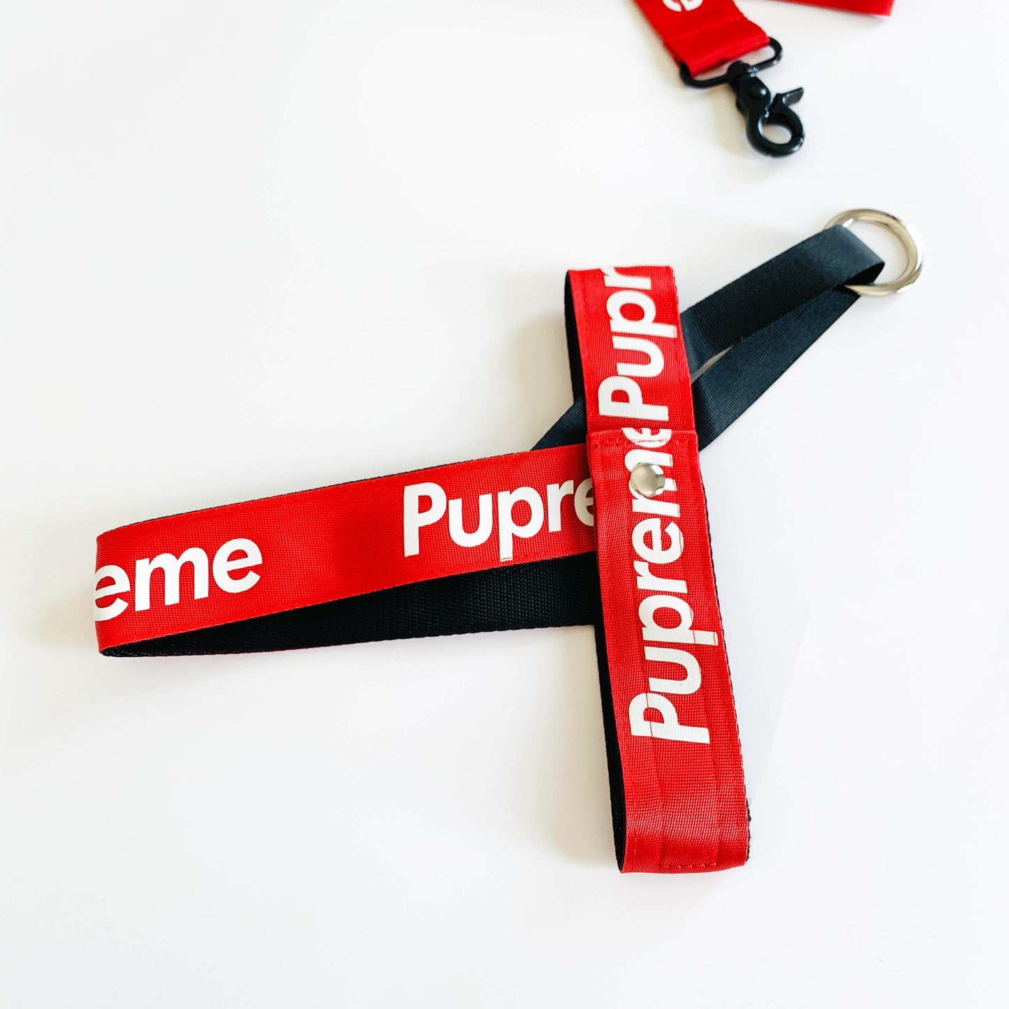 Pupreme| Bold Letters Harness & Leash Set | For Cats and Dogs