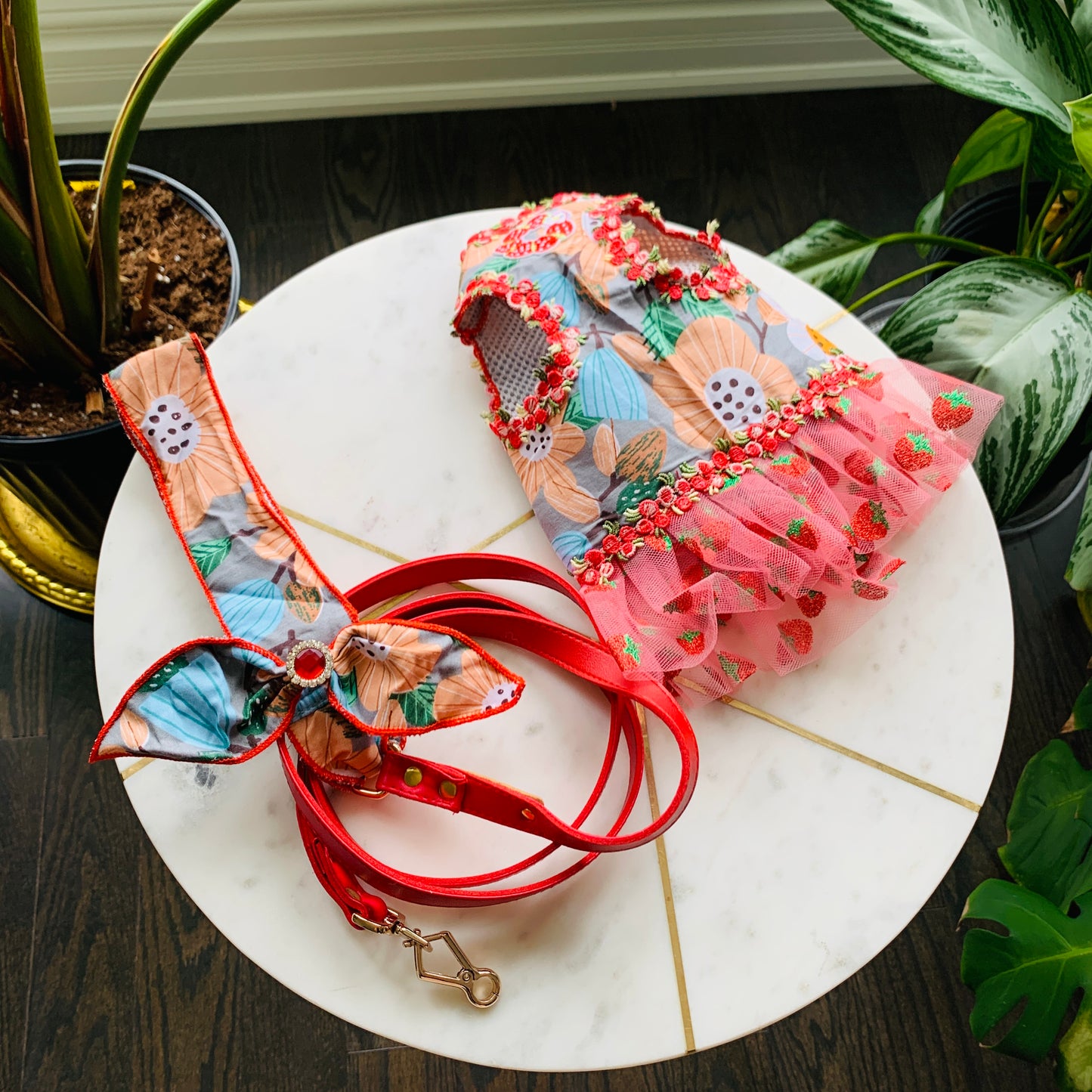 Strawberry Pom Fashion Harness Dress Set| For Elegant Puppy or Kitten