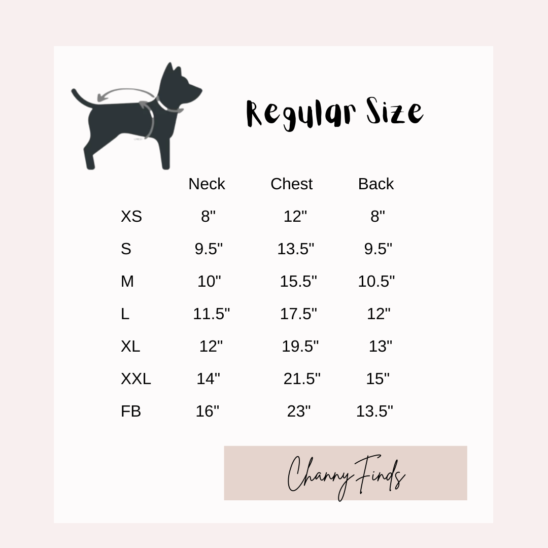 Fashion Pet Your Rich Dog Hoodie & Vest