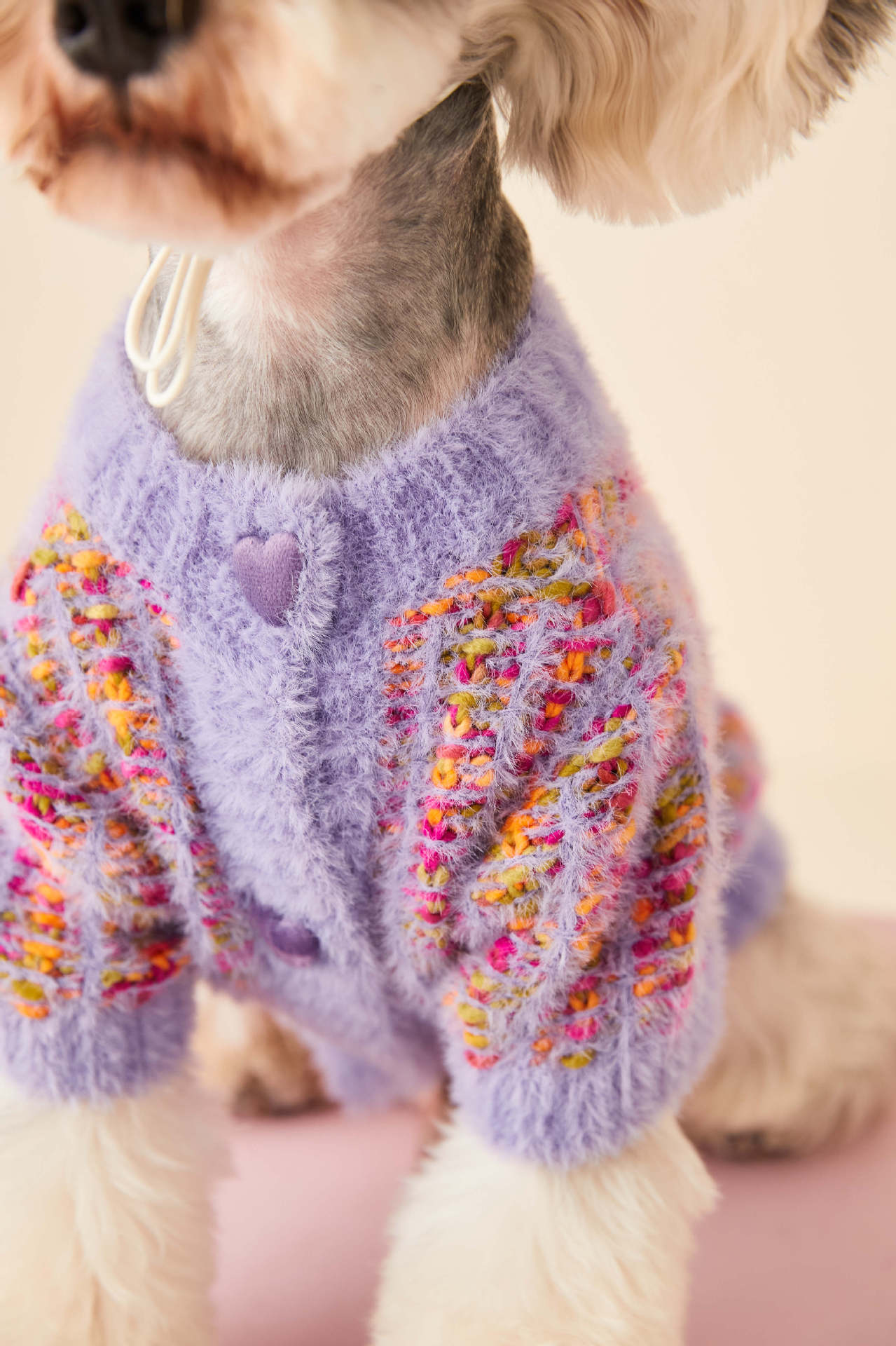 Rainbow Color Pet Cardigan