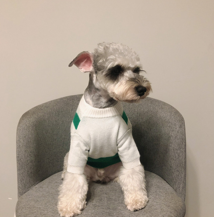 Funny Fashion Bartender Pattern Pet Sweater