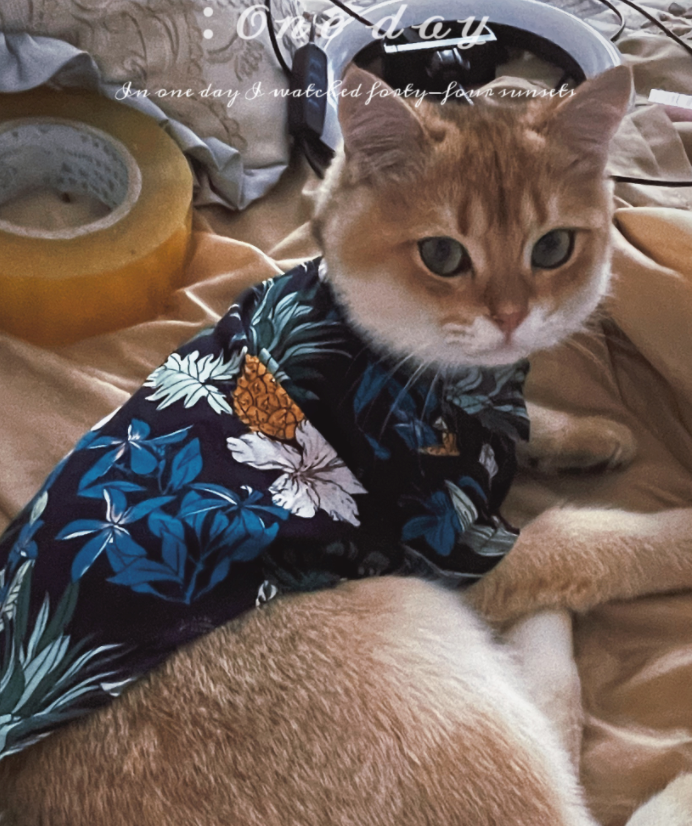 Summer Passion Hawaii Shirt Top | Extended Sizes Available | S to 8XL