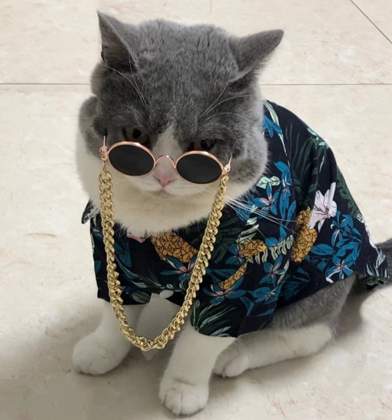 Summer Passion Hawaii Shirt Top | Extended Sizes Available | S to 8XL