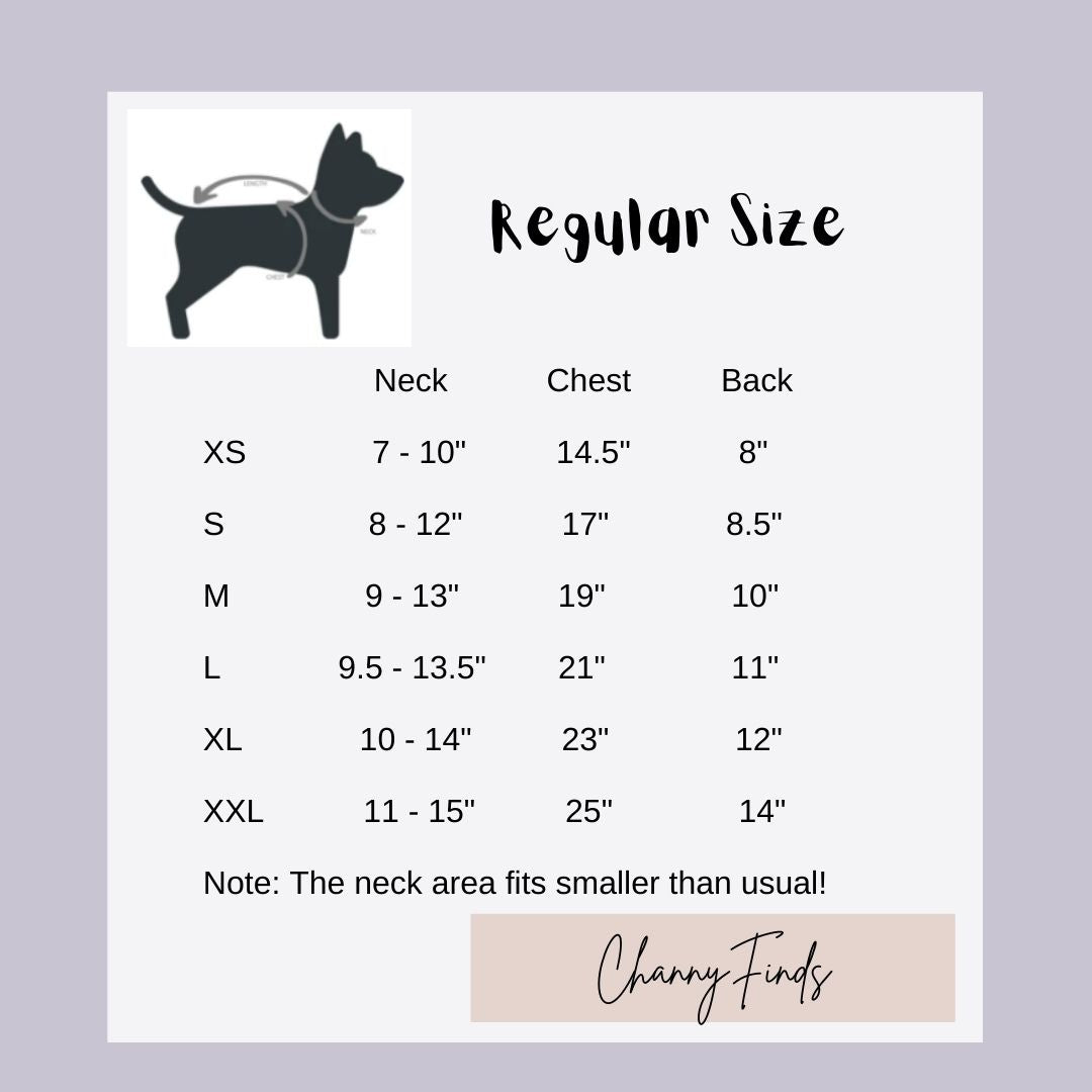 Fashion Pet Sweater (XS available!)