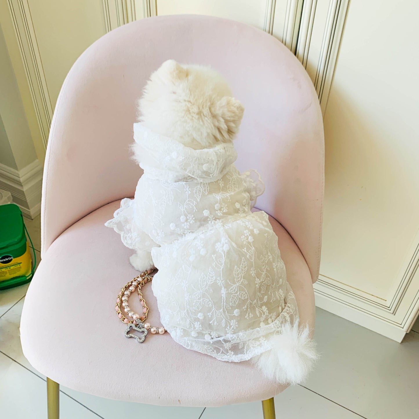 In Stock | Pet Summer Wedding Dress | Elegant White Lace | For Rabbits, Cats and Dogs