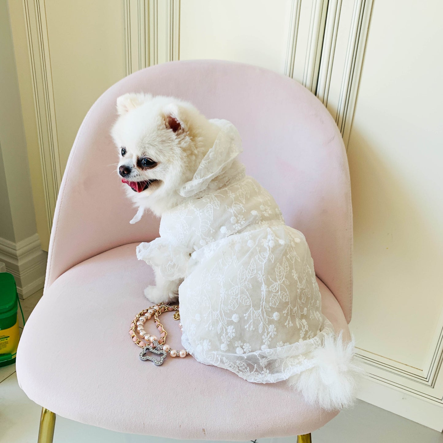 In Stock | Pet Summer Wedding Dress | Elegant White Lace | For Rabbits, Cats and Dogs