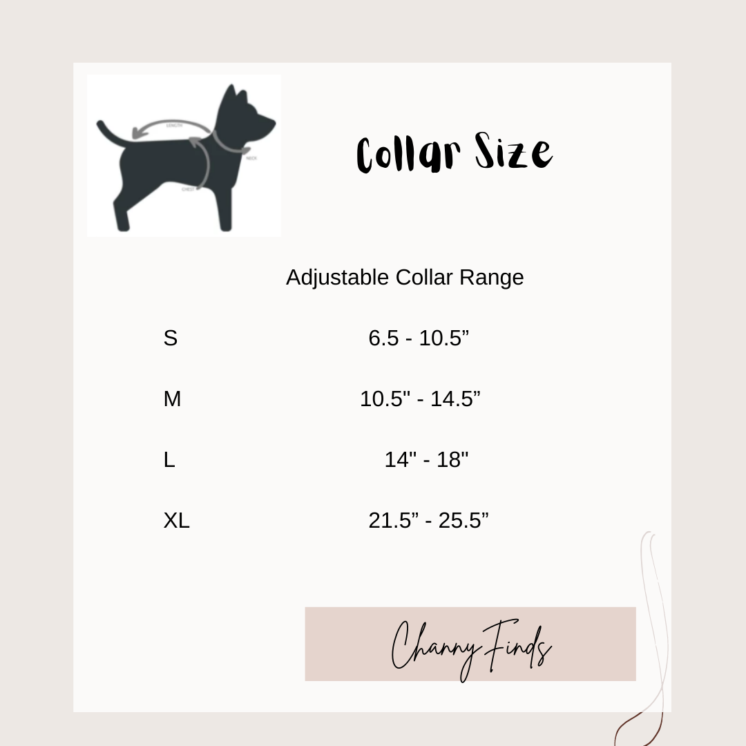 5-Petals Flower Pattern Pet Collar & Leash | For Cats and Dogs