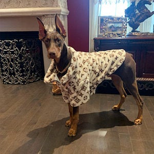 Fashion Pet Soft Faux Fur Coat (extended size available)