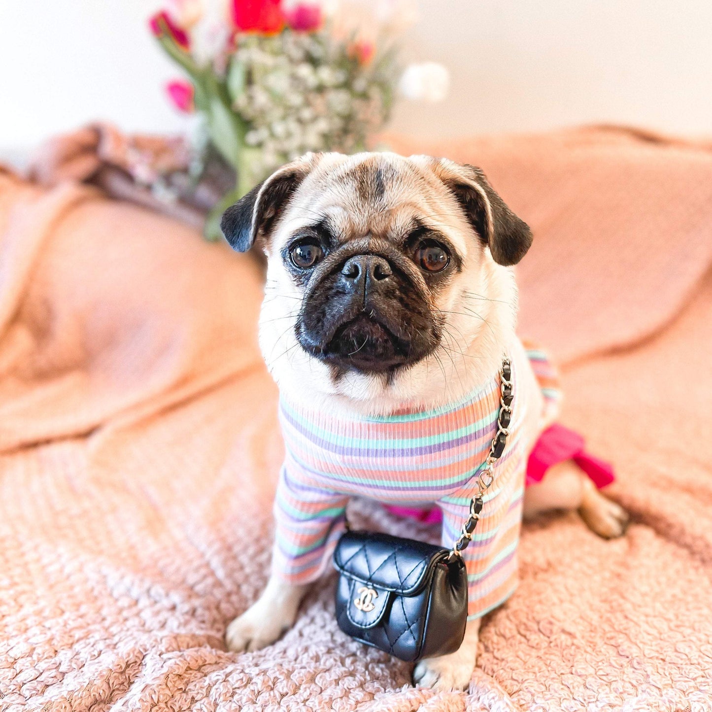 Fashion Pet Classic Chain Faux Leather Bag