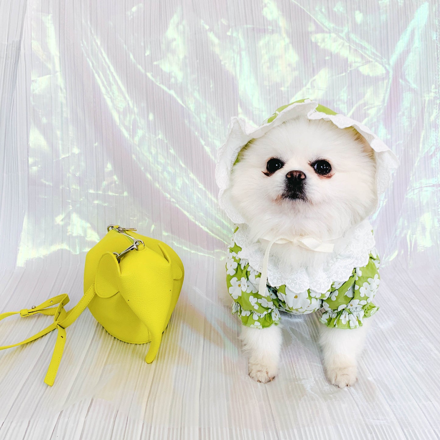 Summer Floral Pet Dress